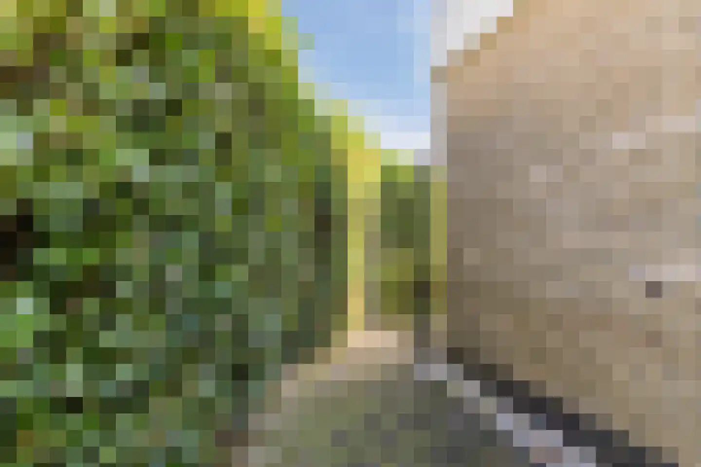 Castellumpark 6 De Meern thumbnail 33