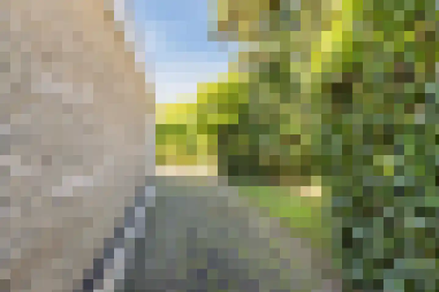 Castellumpark 6 De Meern thumbnail 34
