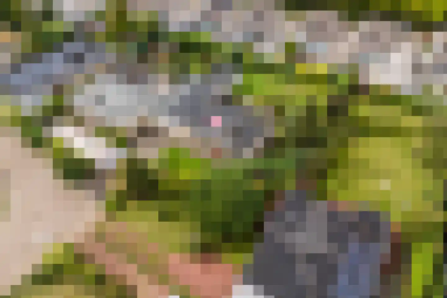 Castellumpark 6 De Meern thumbnail 4