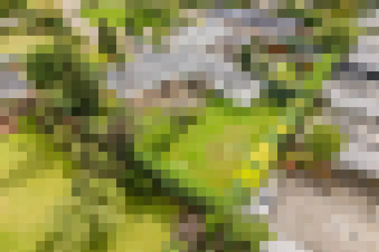Castellumpark 6 De Meern thumbnail 5