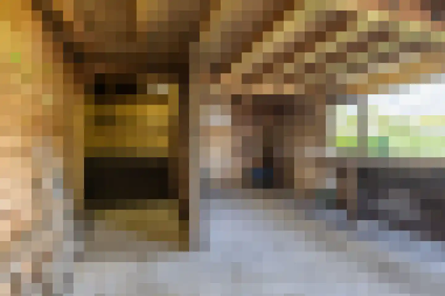 Castellumpark 6 De Meern thumbnail 59