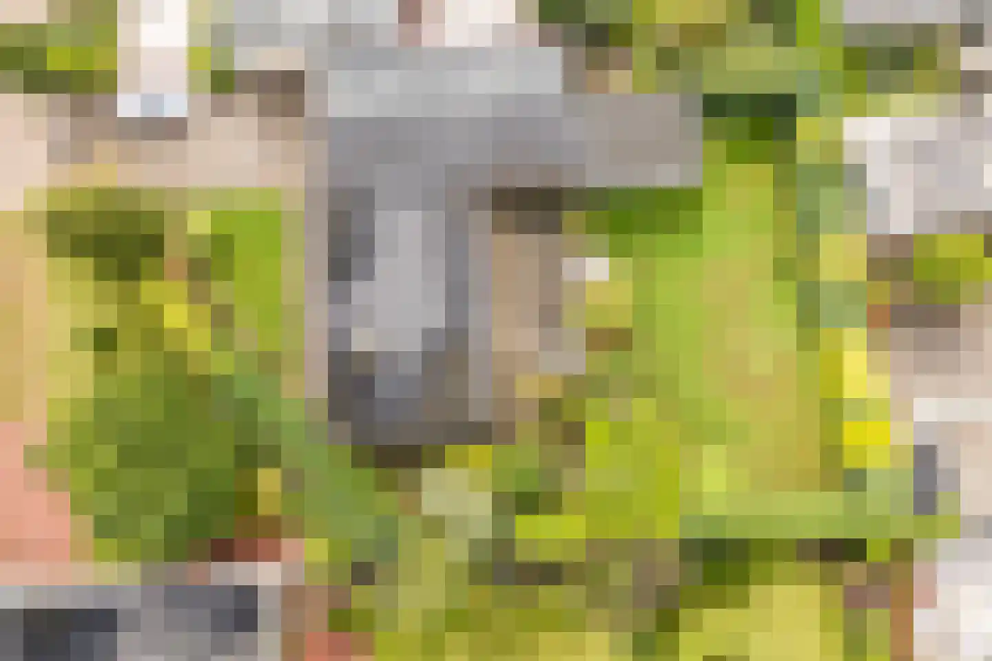 Castellumpark 6 De Meern thumbnail 6