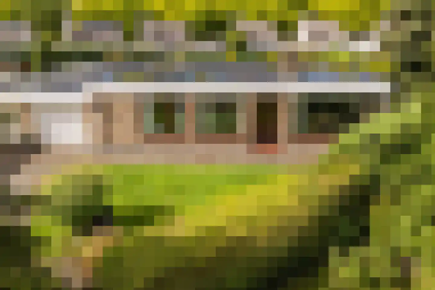 Castellumpark 6 De Meern thumbnail 69