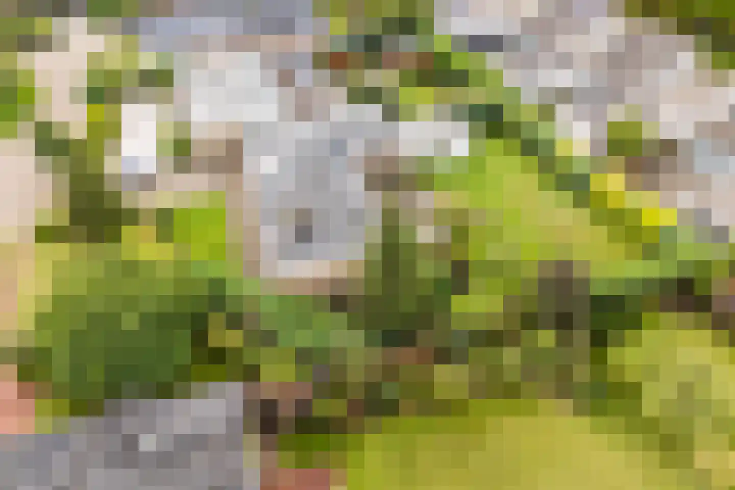 Castellumpark 6 De Meern thumbnail 70