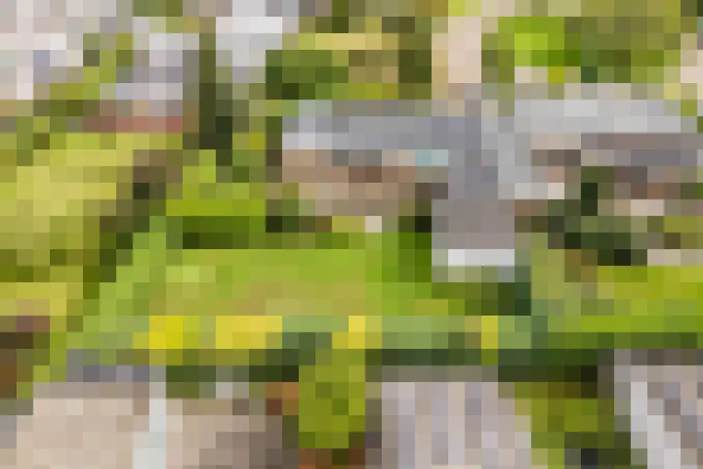 Castellumpark 6 De Meern thumbnail 71