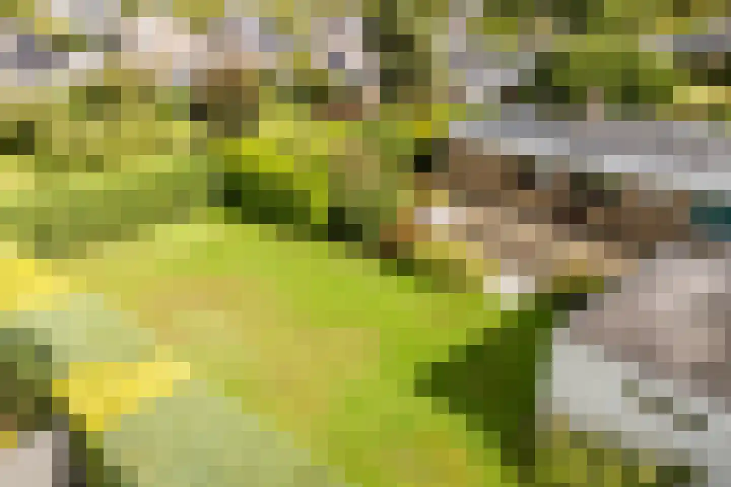 Castellumpark 6 De Meern thumbnail 72