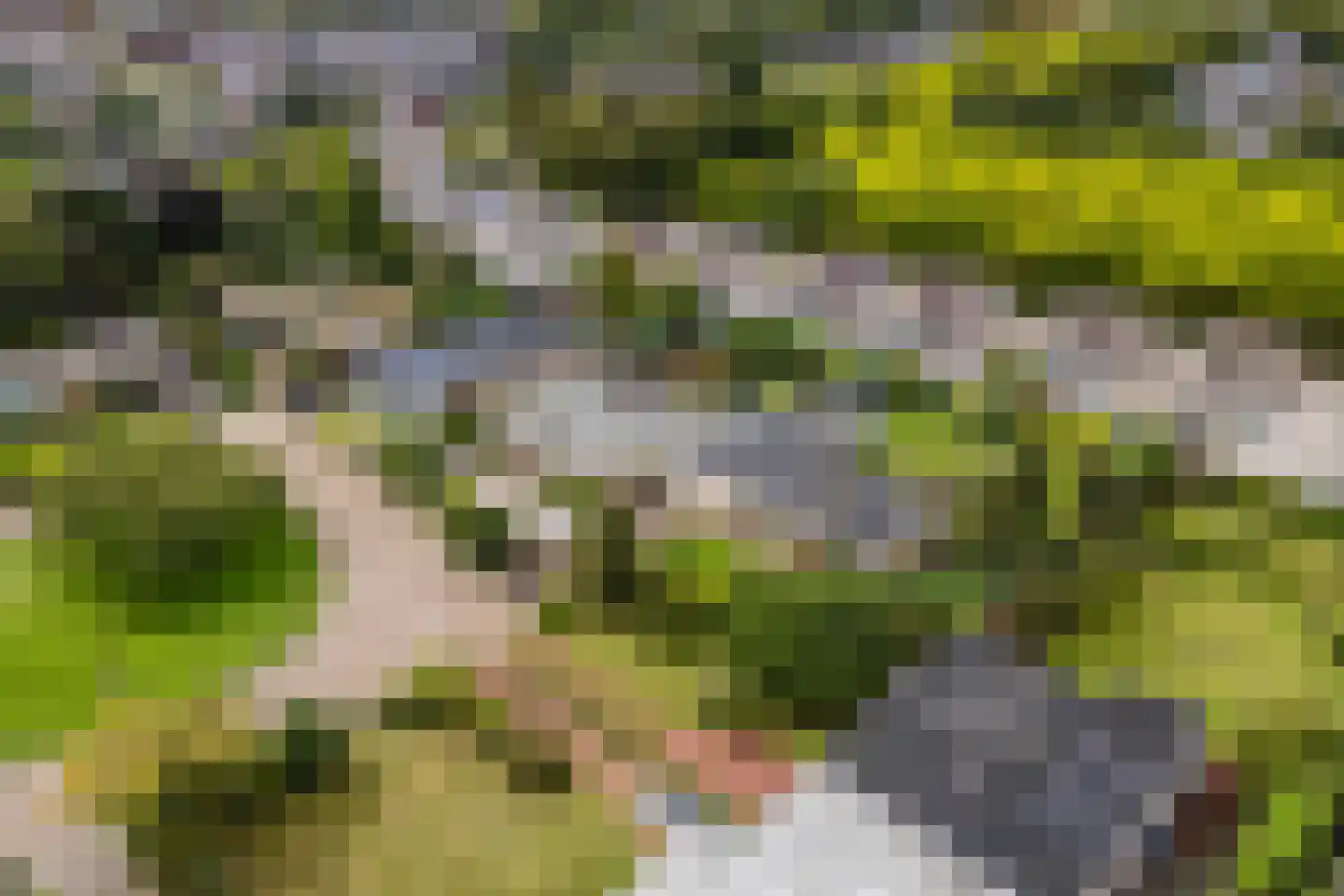 Castellumpark 6 De Meern thumbnail 73
