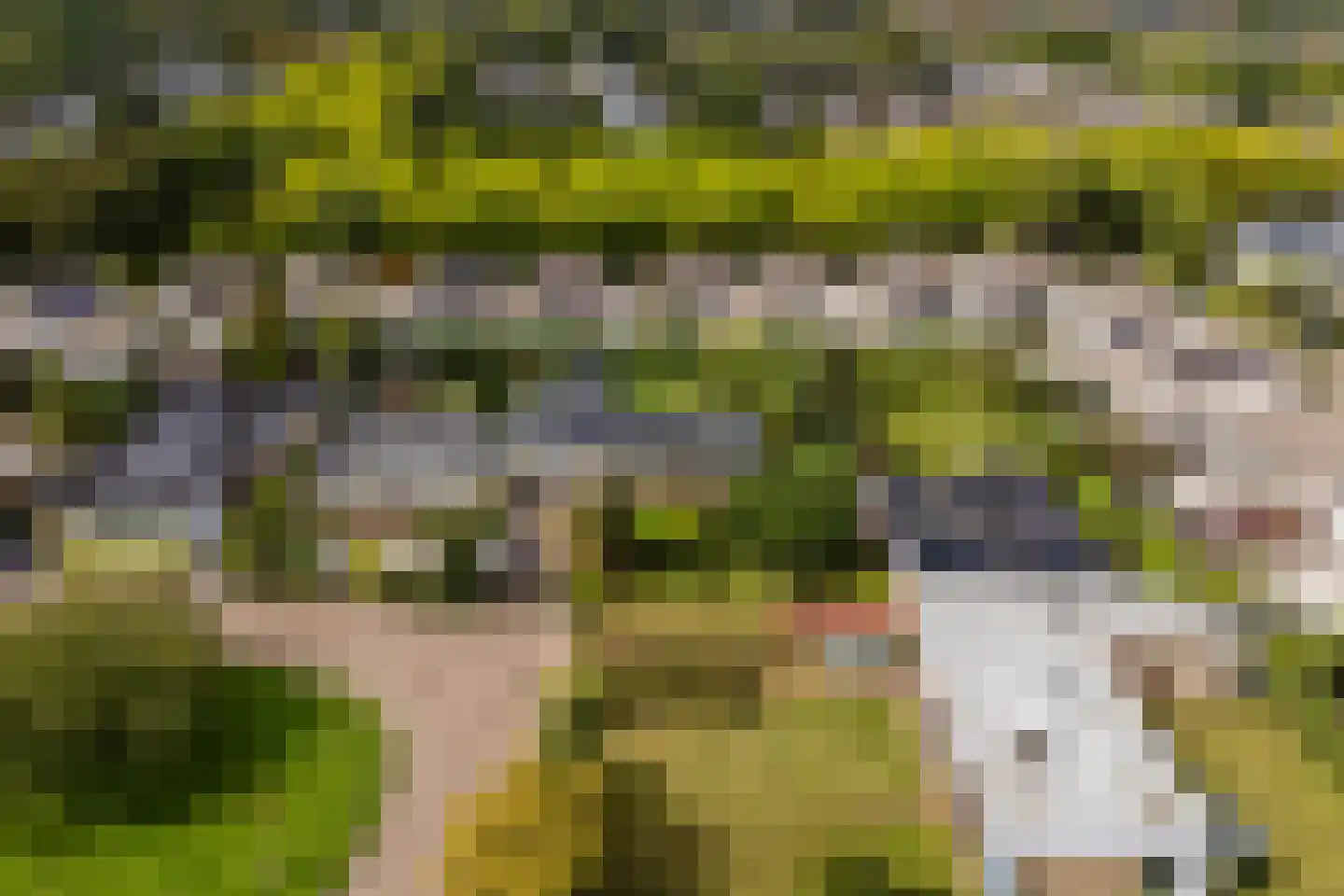 Castellumpark 6 De Meern thumbnail 75