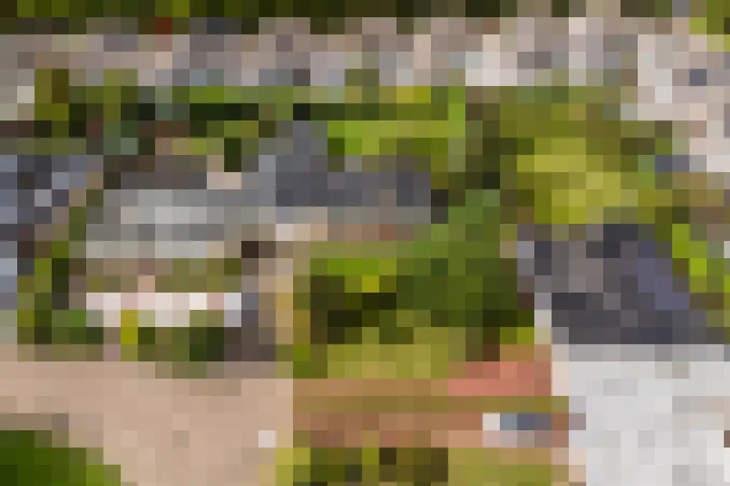 Castellumpark 6 De Meern thumbnail 76