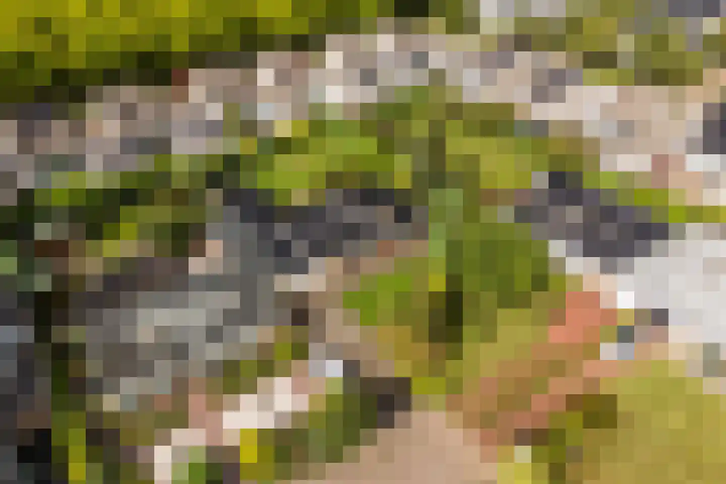 Castellumpark 6 De Meern thumbnail 78