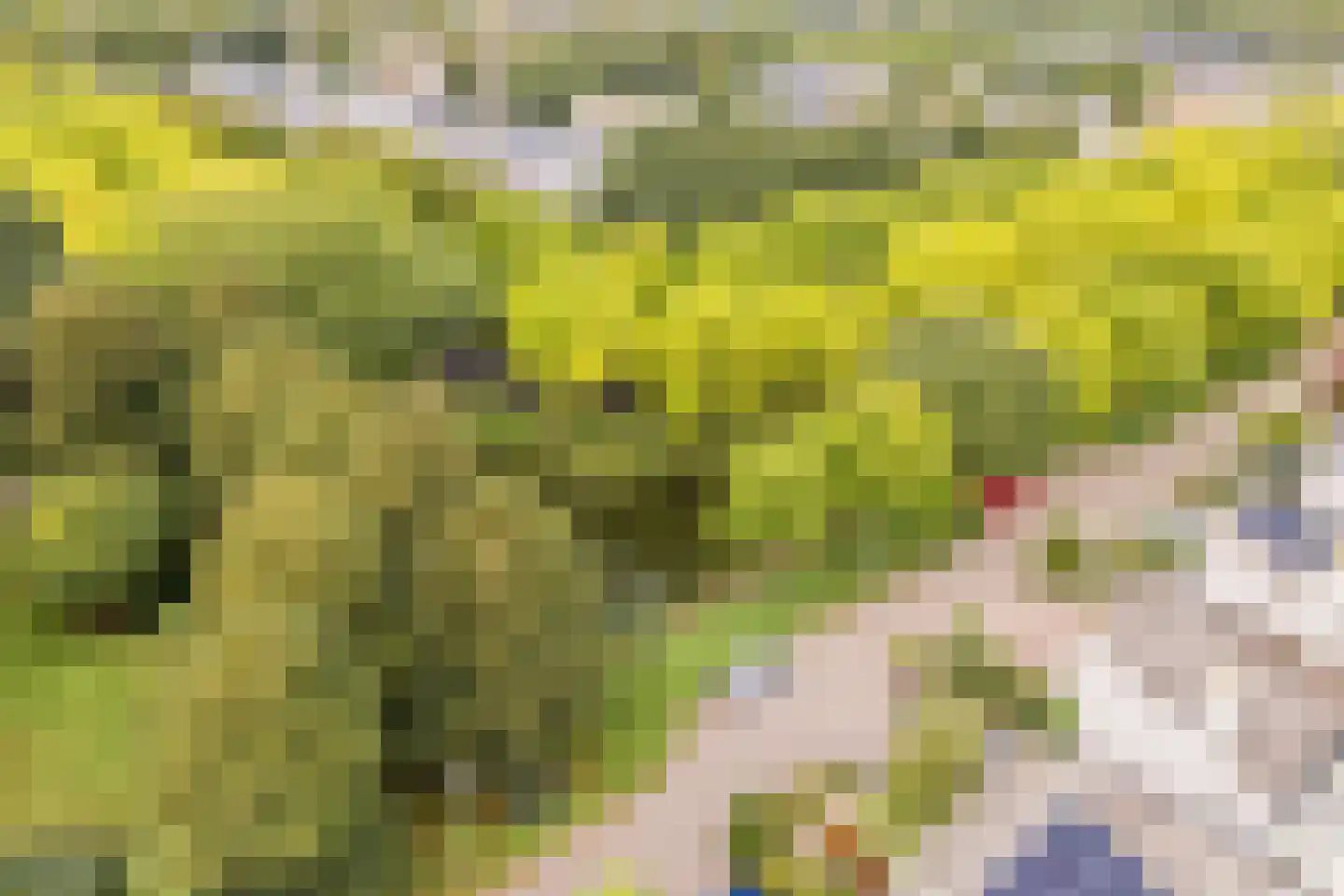 Castellumpark 6 De Meern thumbnail 81