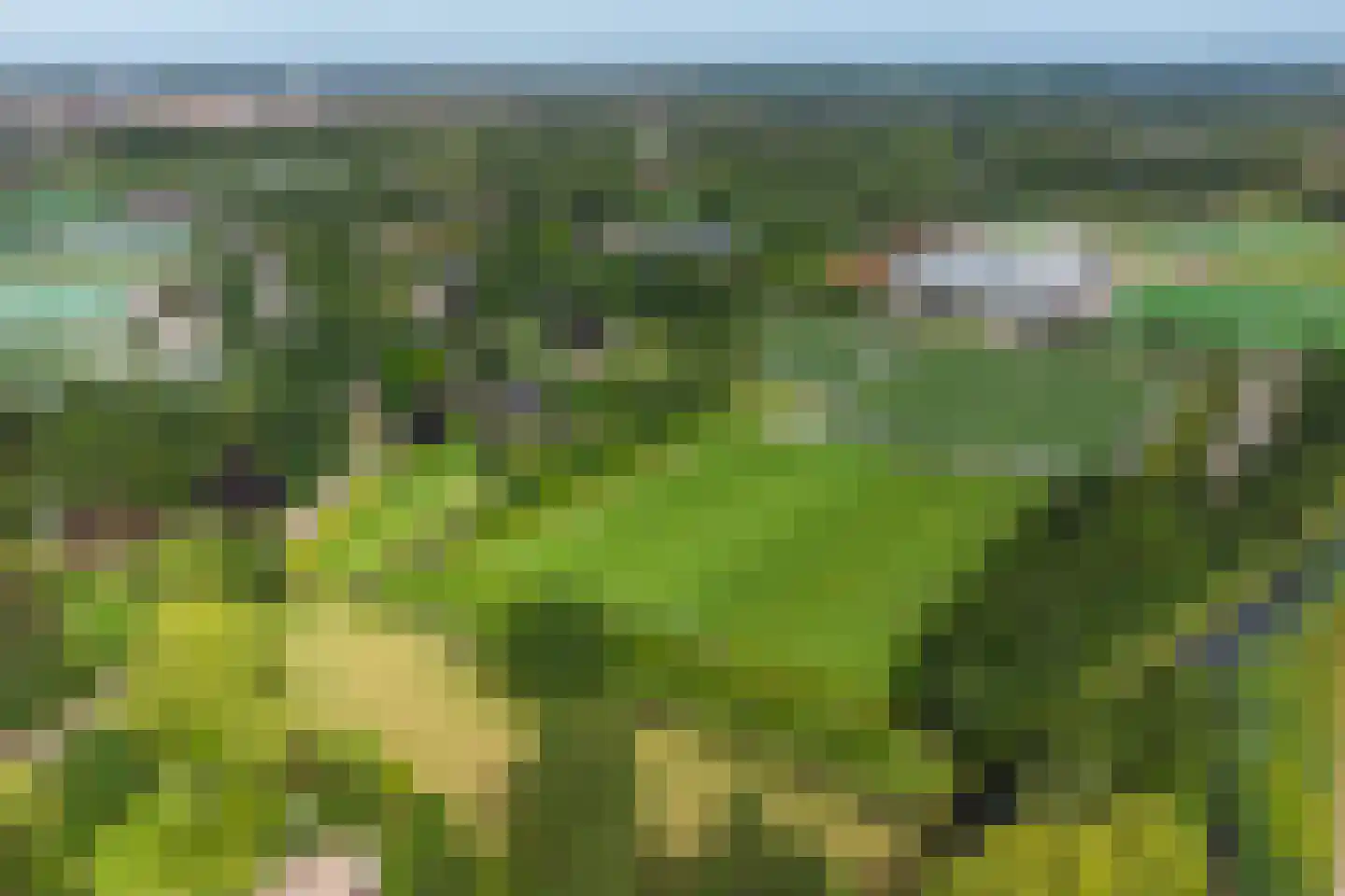 Castellumpark 6 De Meern thumbnail 88
