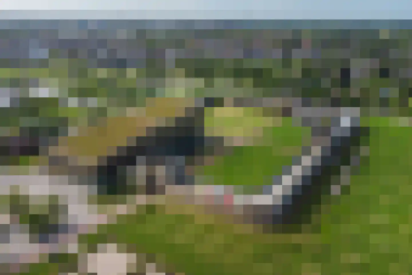 Castellumpark 6 De Meern thumbnail 90