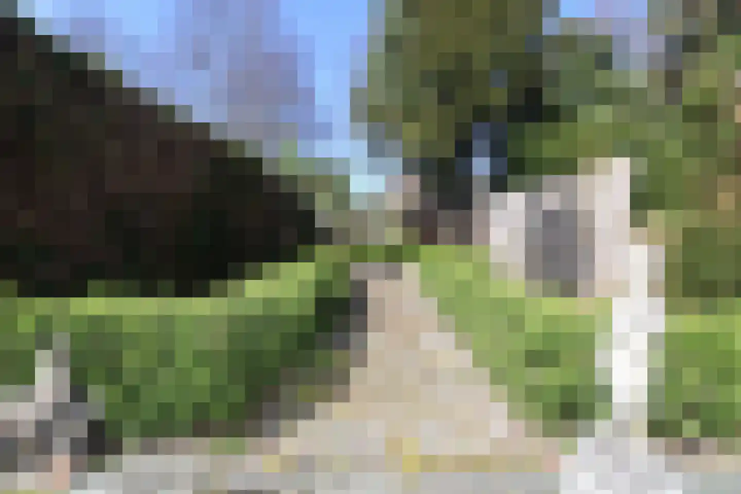 Castelmorelaan 24 Maastricht thumbnail 10