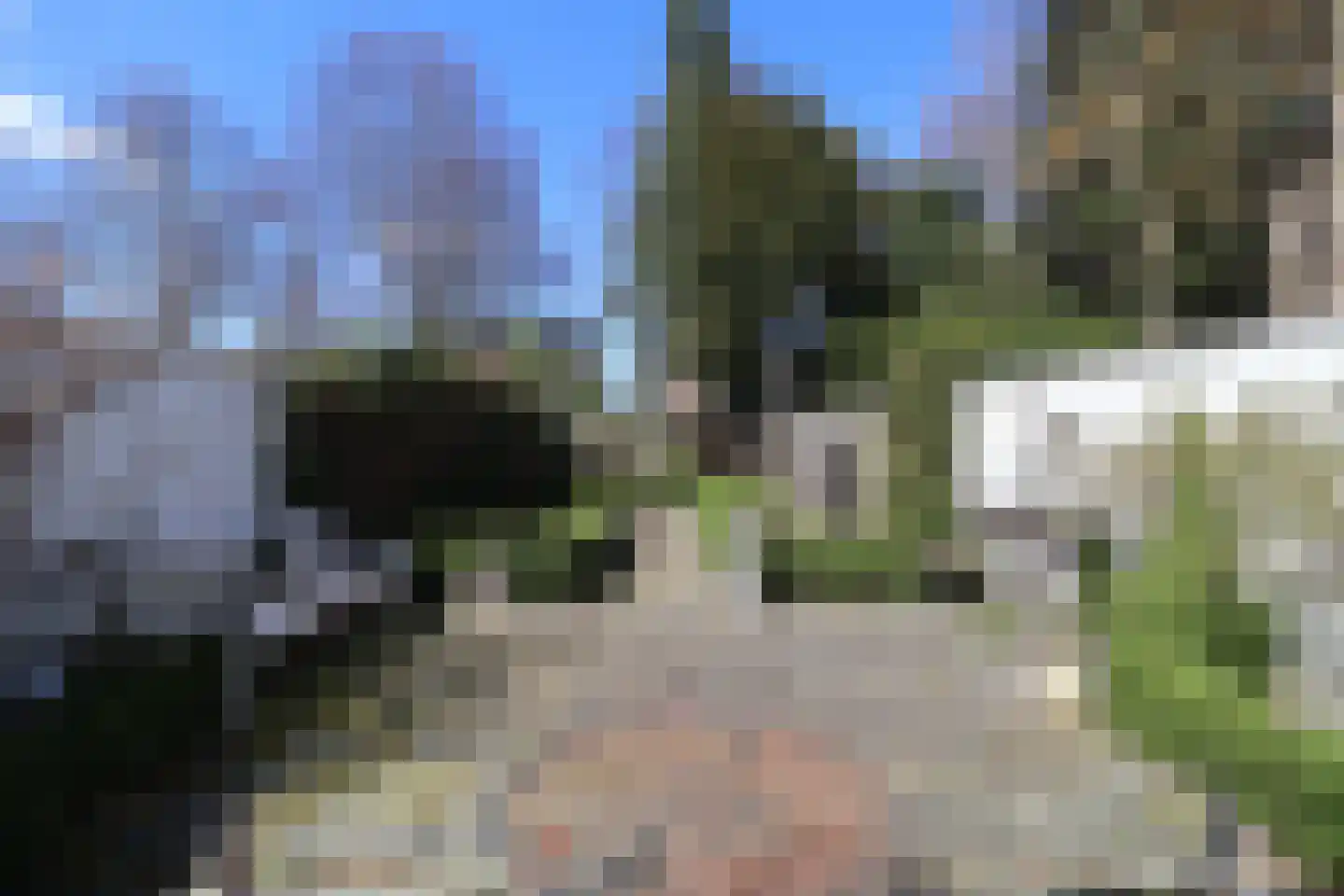 Castelmorelaan 24 Maastricht thumbnail 11