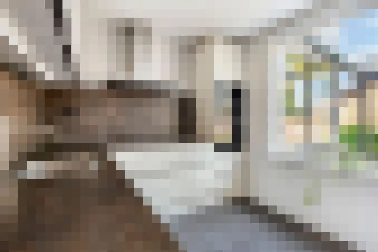 Castenrayseweg 26 Oirlo thumbnail 15