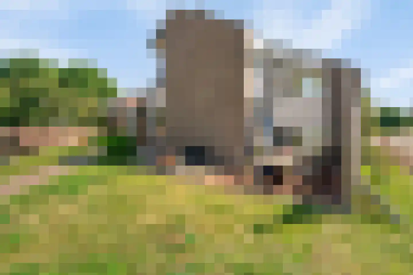 Castenrayseweg 26 Oirlo thumbnail 36