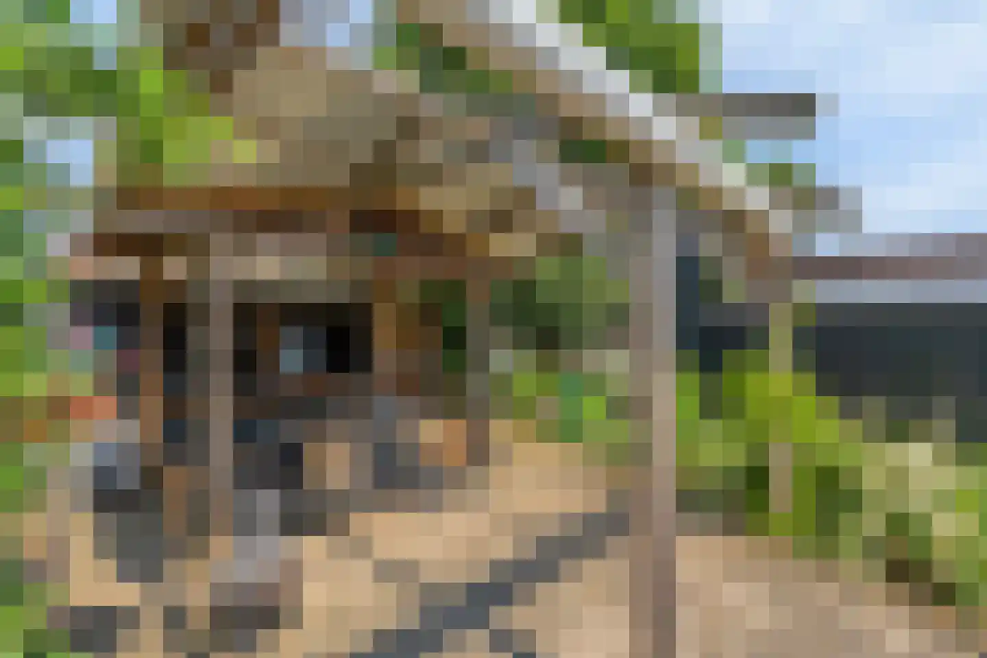 Castenrayseweg 26 Oirlo thumbnail 69