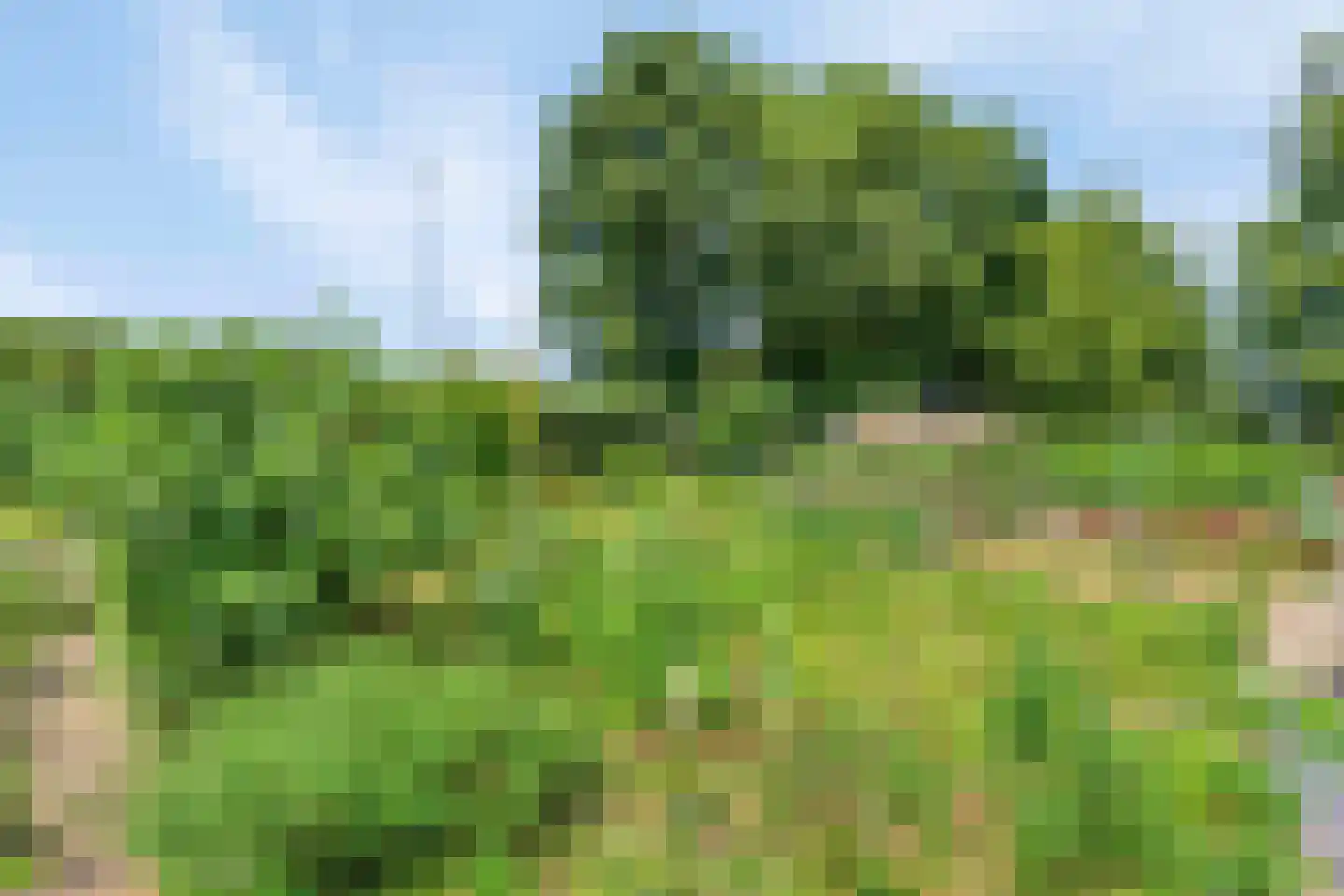 Castenrayseweg 26 Oirlo thumbnail 71
