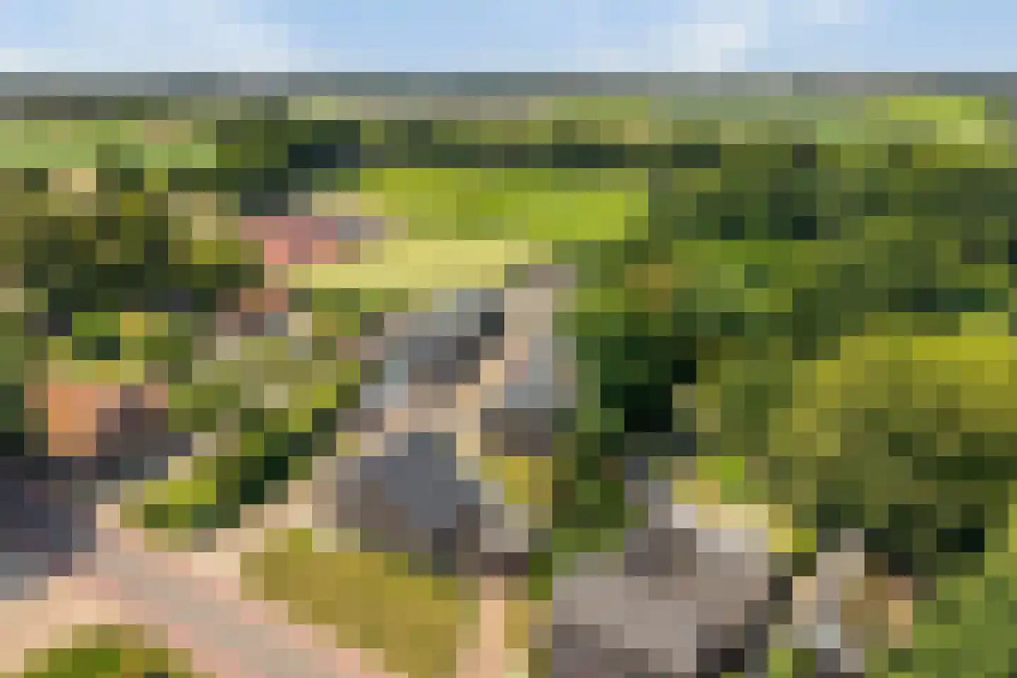Castenrayseweg 26 Oirlo thumbnail 78