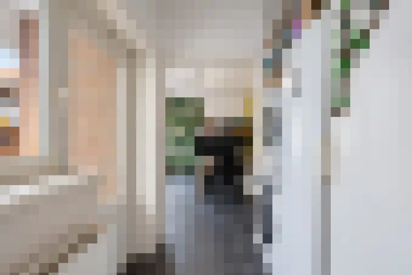 Castiliëstraat 4 Philippine thumbnail 18