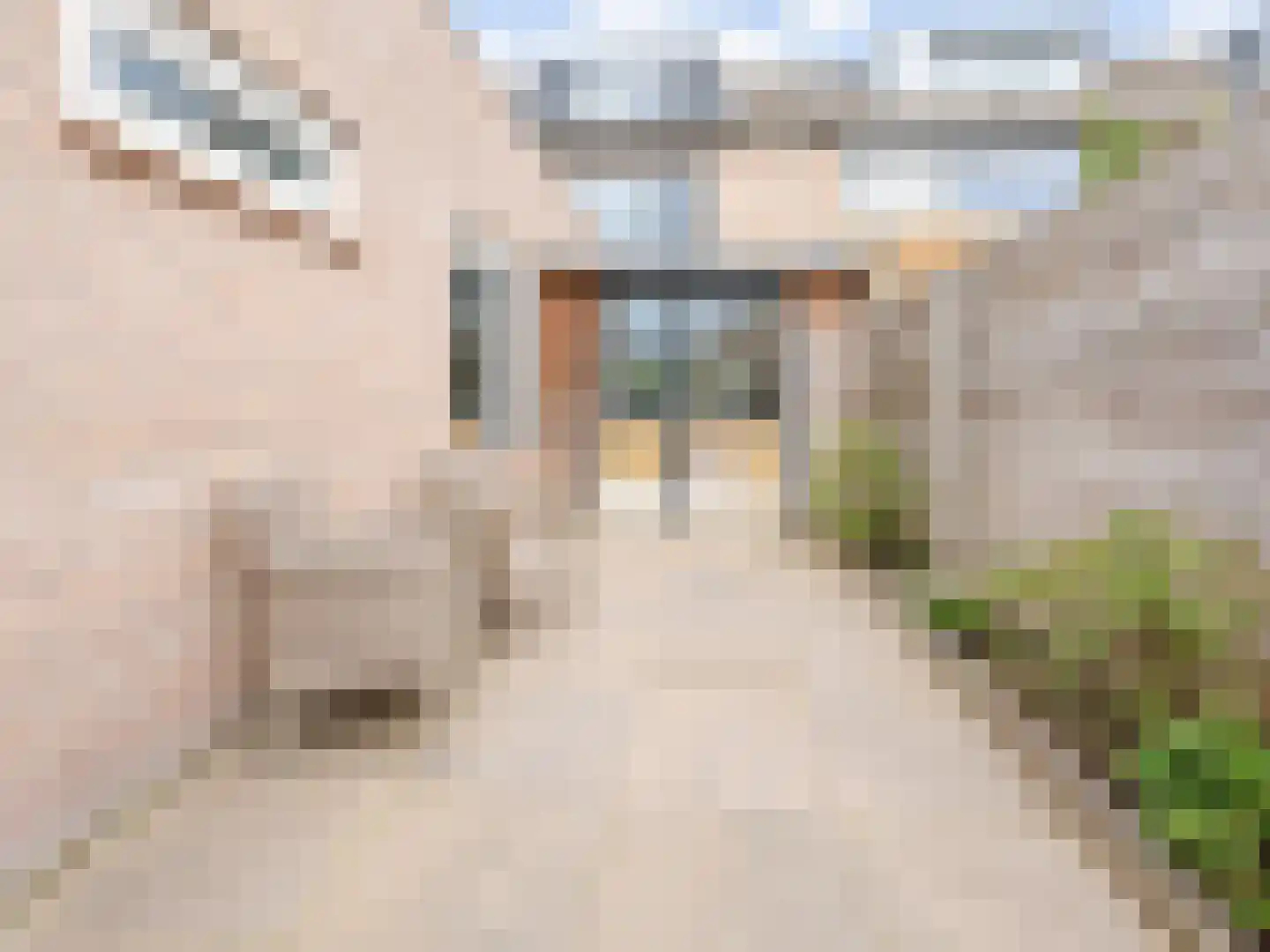 Castiliëstraat 4 Philippine thumbnail 36