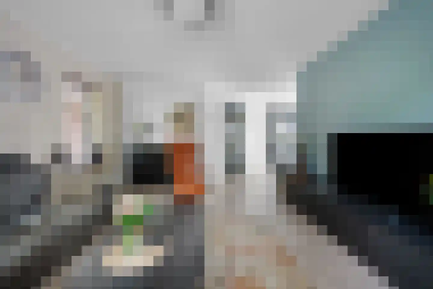 Castor 10 Klazienaveen thumbnail 10