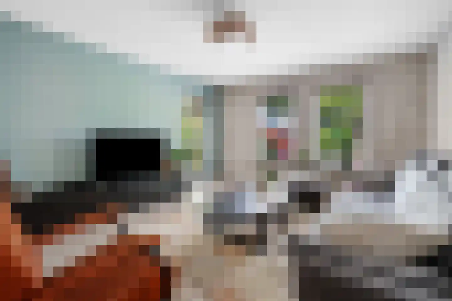 Castor 10 Klazienaveen thumbnail 11