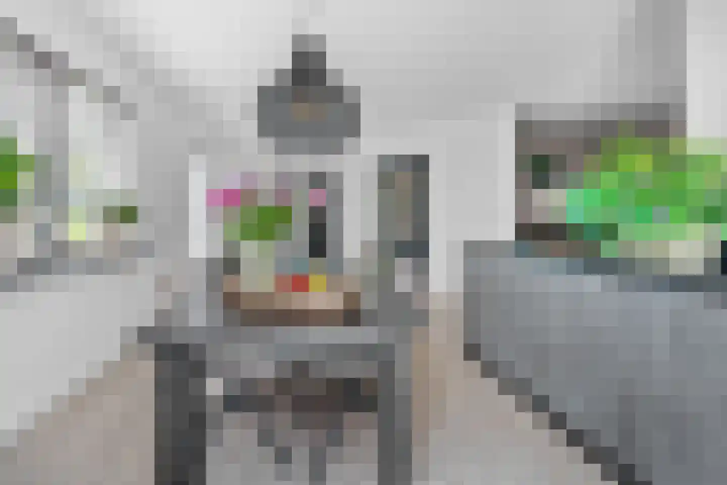 Castor 10 Klazienaveen thumbnail 15