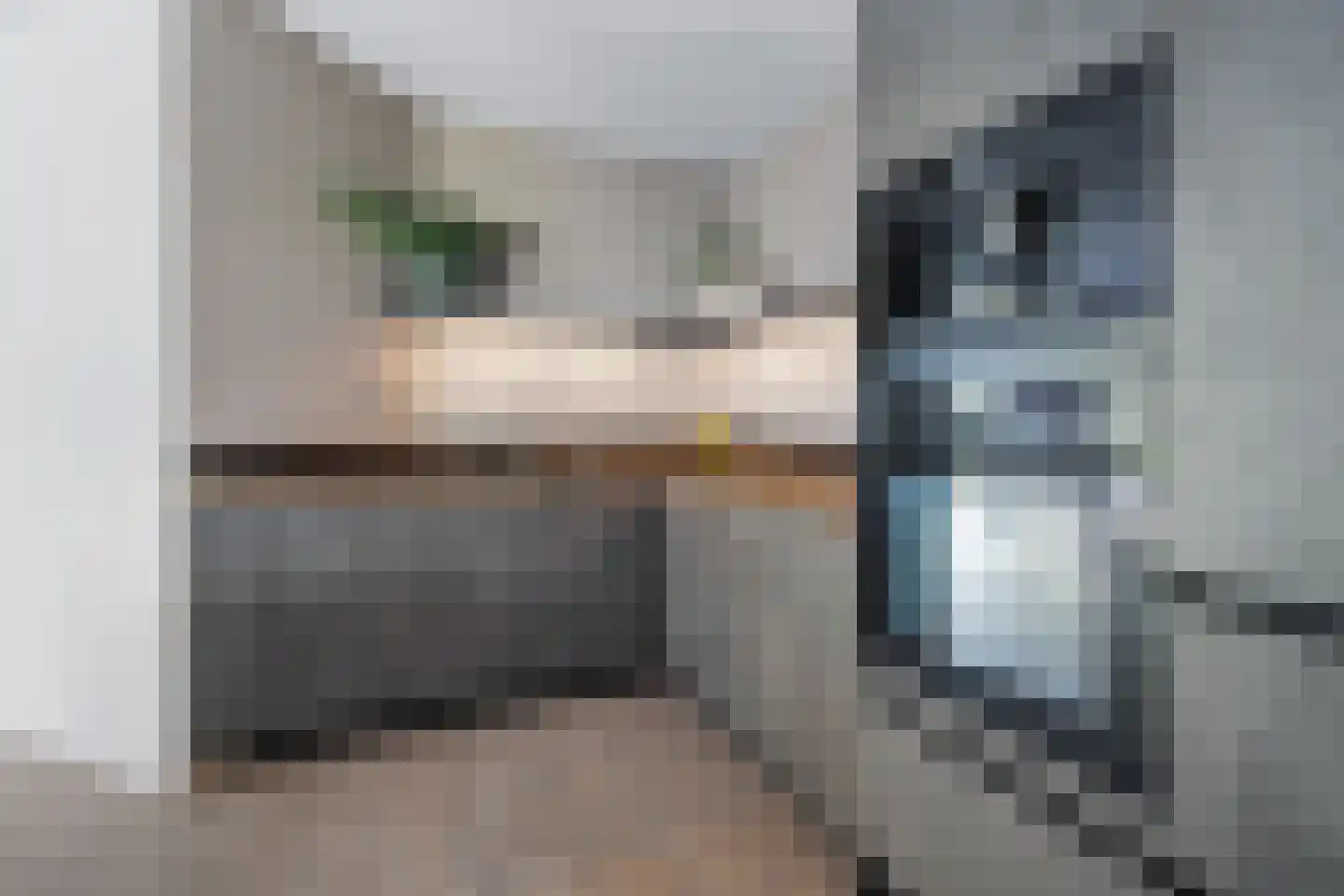 Castor 10 Klazienaveen thumbnail 18