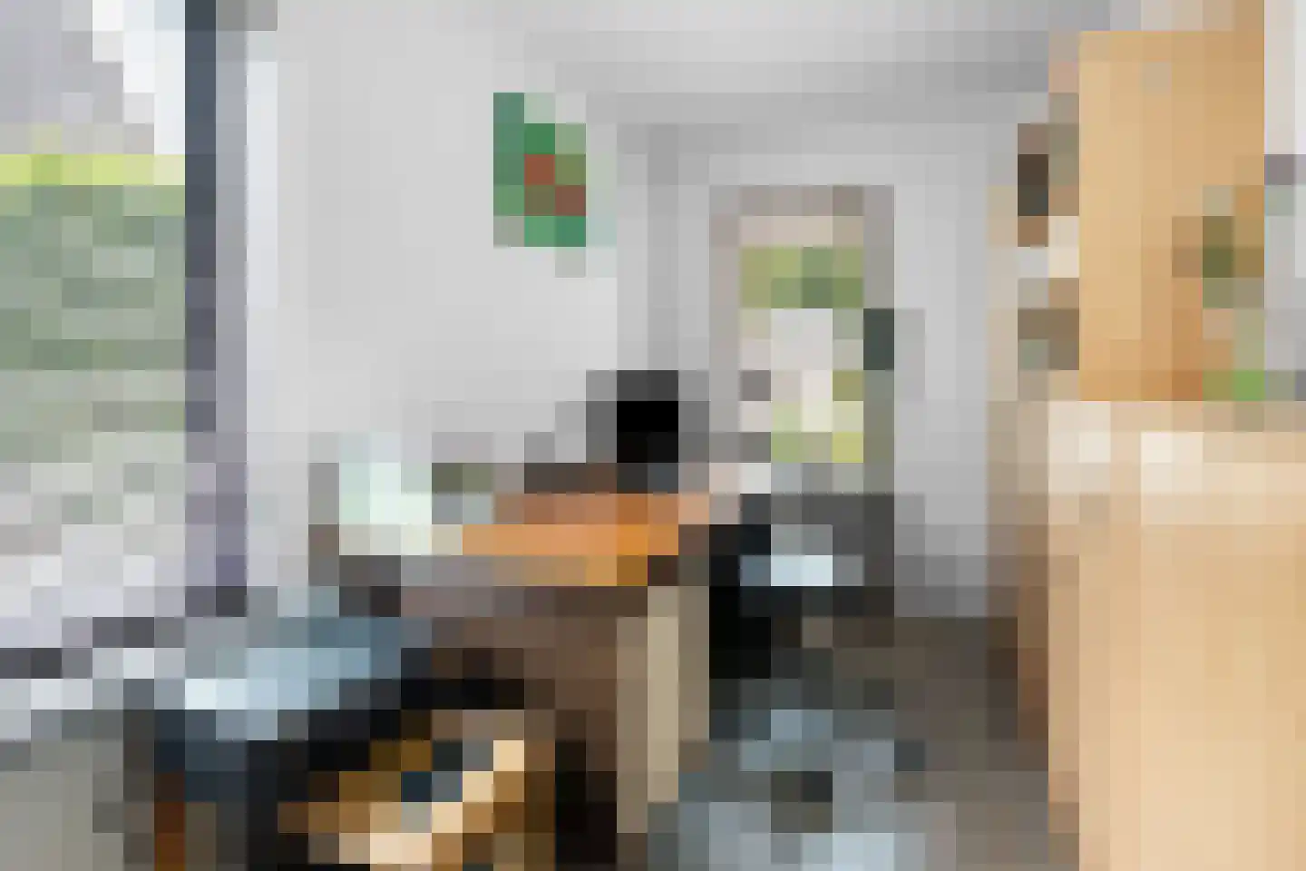Castor 10 Klazienaveen thumbnail 20
