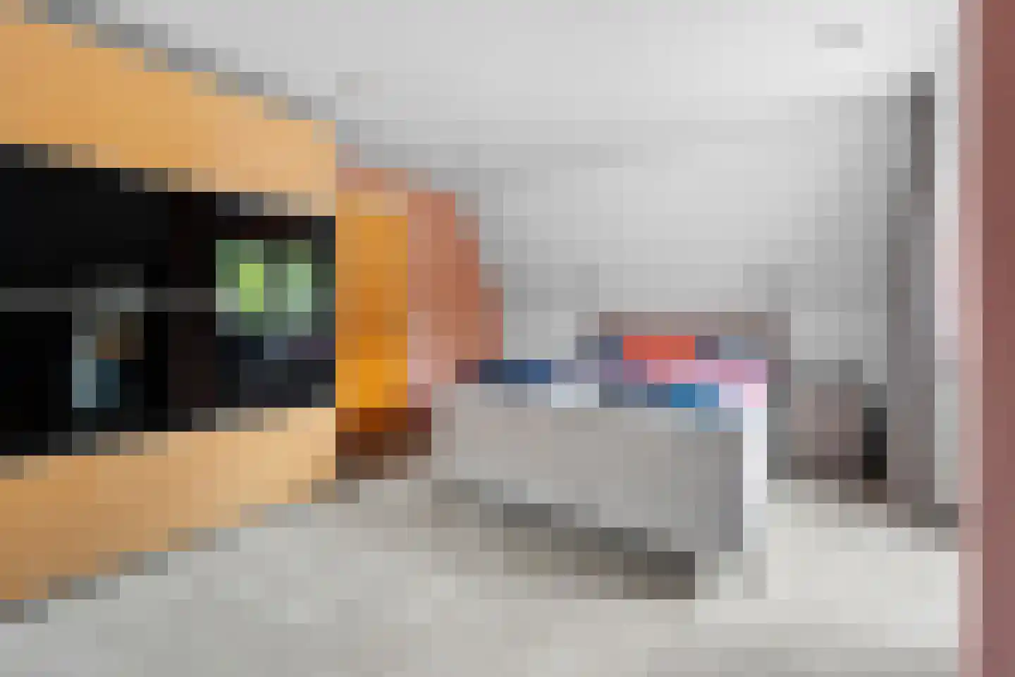 Castor 10 Klazienaveen thumbnail 28