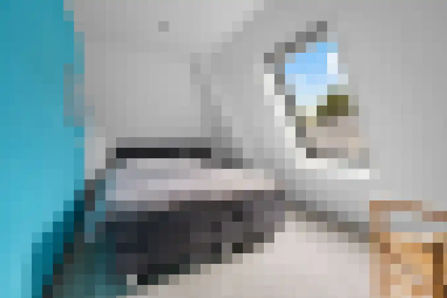 Castor 10 Klazienaveen thumbnail 32