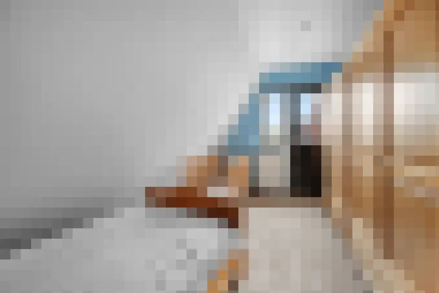 Castor 10 Klazienaveen thumbnail 34