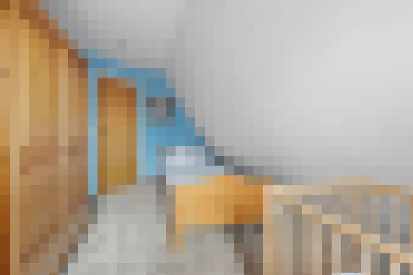 Castor 10 Klazienaveen thumbnail 35