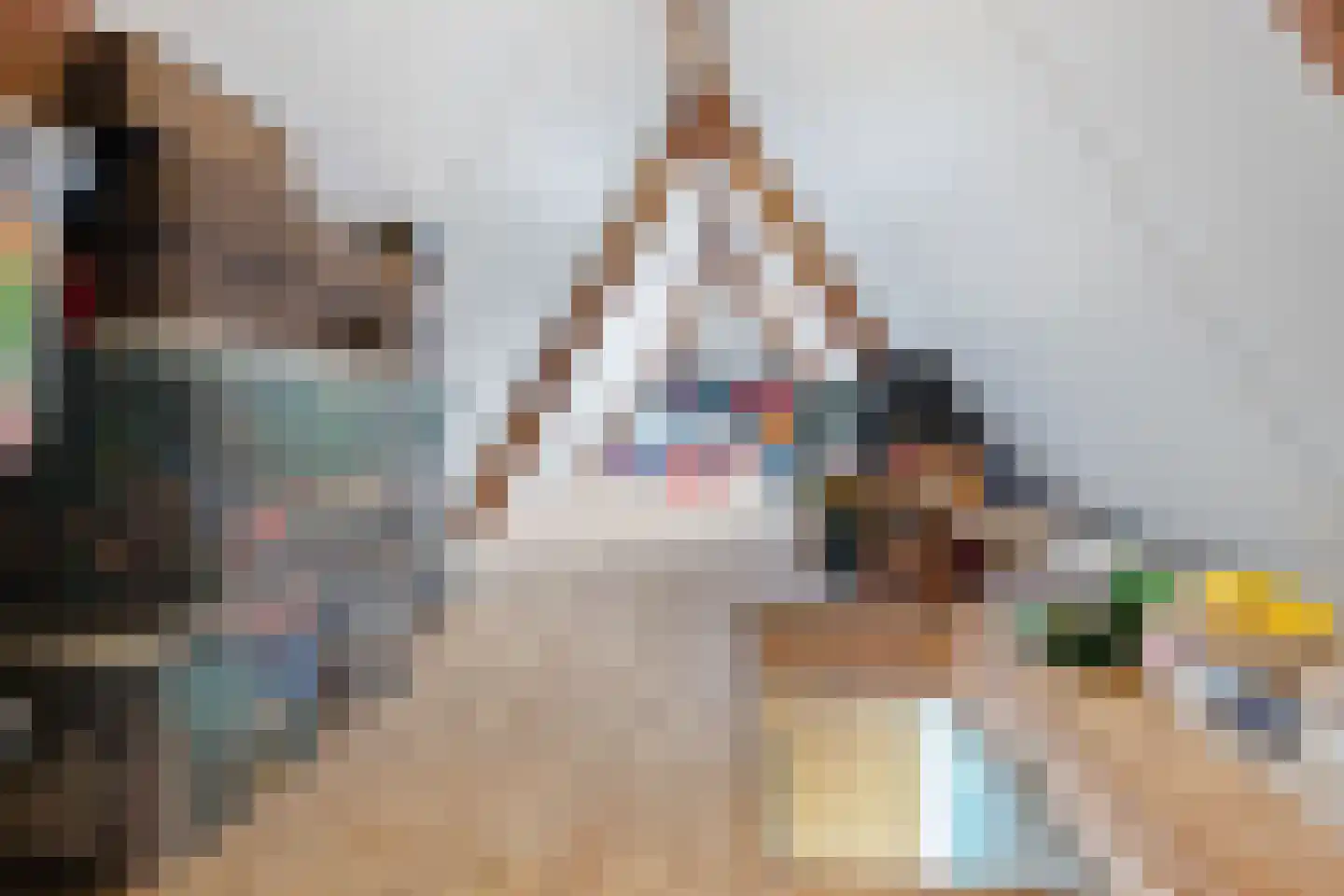 Castor 10 Klazienaveen thumbnail 40