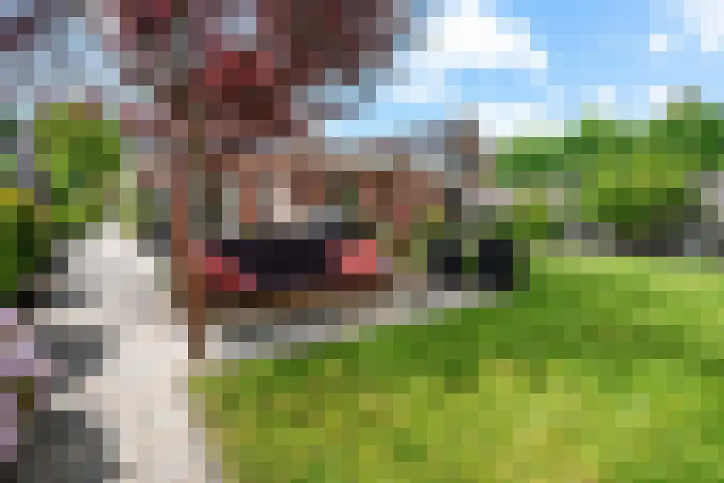 Castor 10 Klazienaveen thumbnail 43