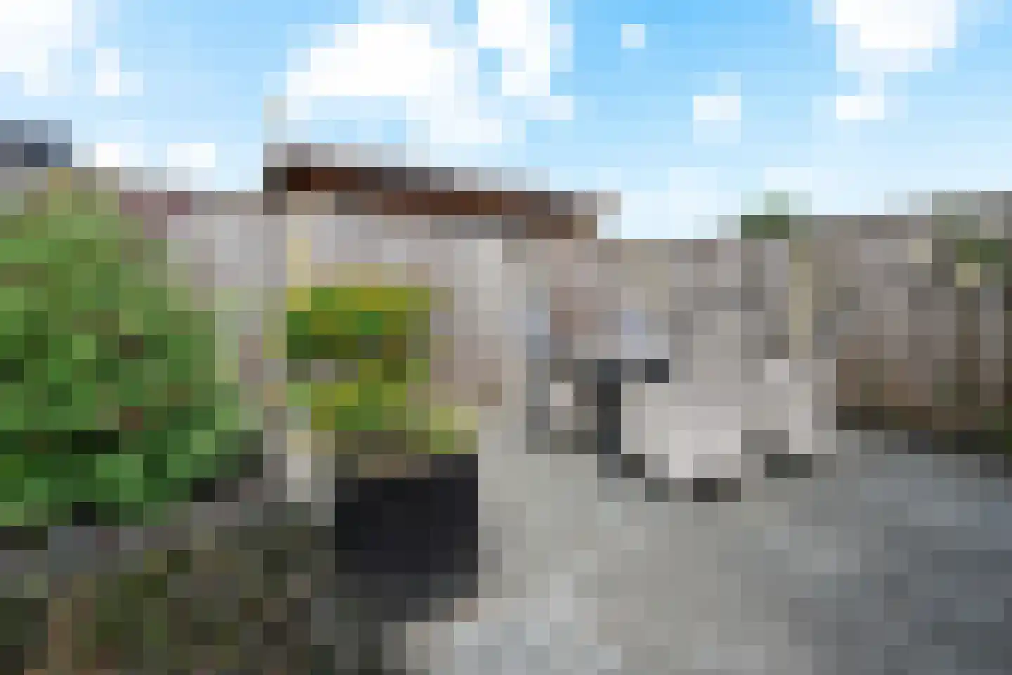 Castor 10 Klazienaveen thumbnail 45