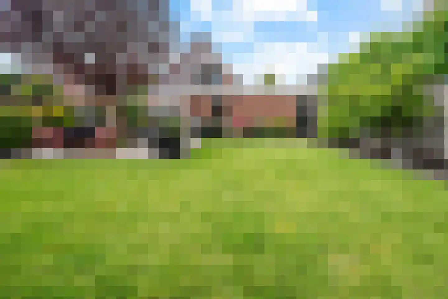 Castor 10 Klazienaveen thumbnail 46