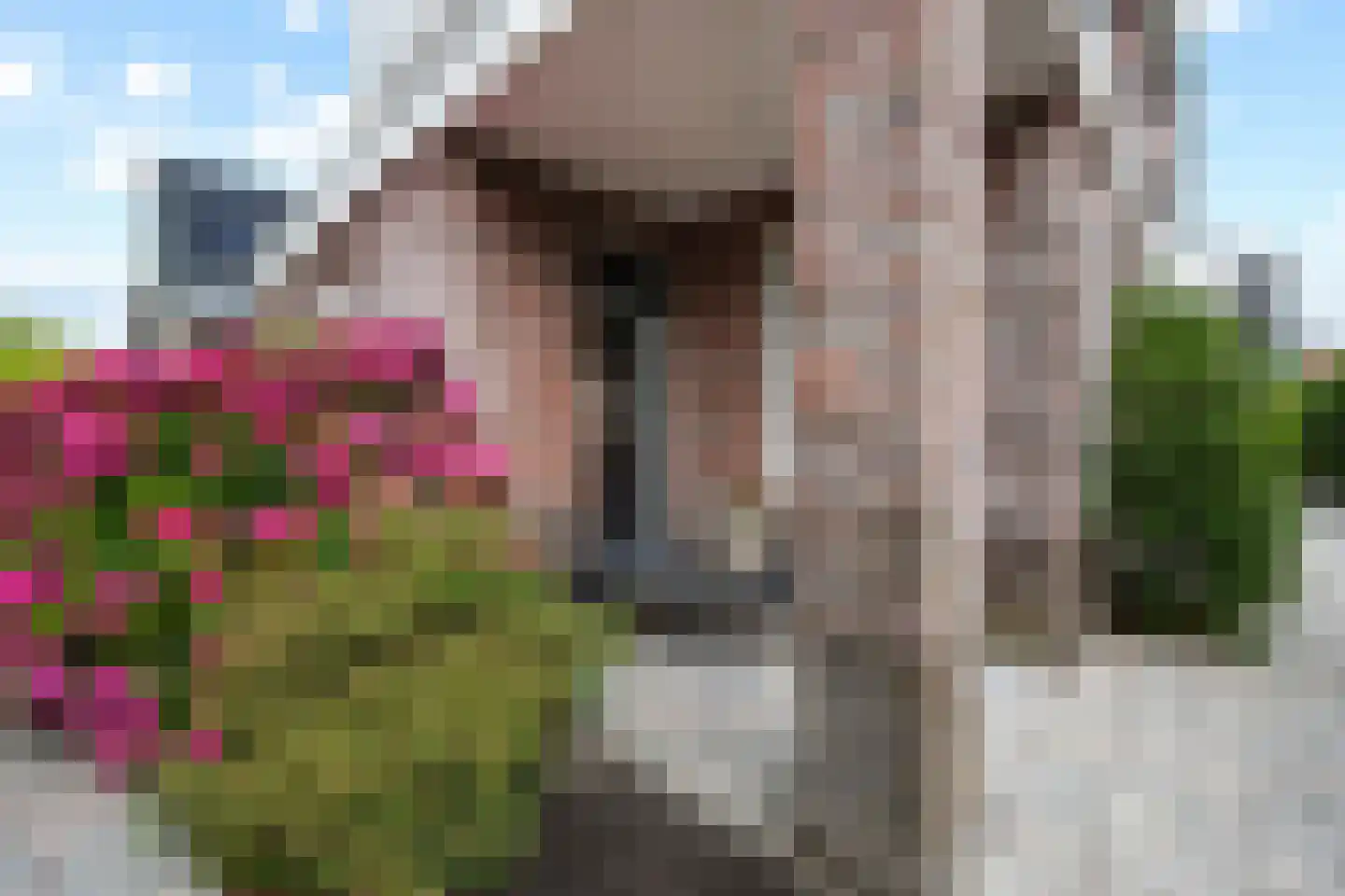 Castor 10 Klazienaveen thumbnail 49