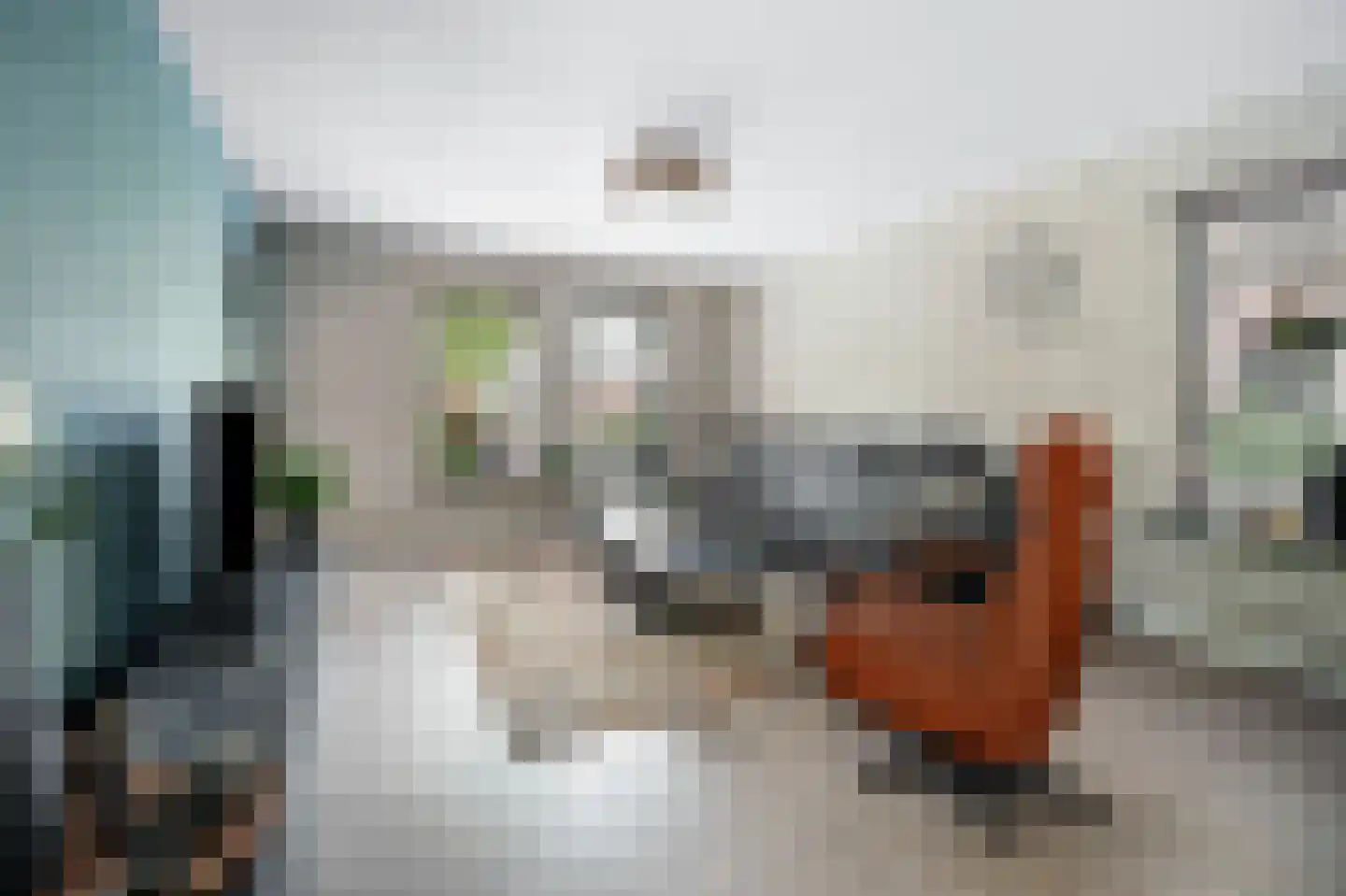 Castor 10 Klazienaveen thumbnail 8