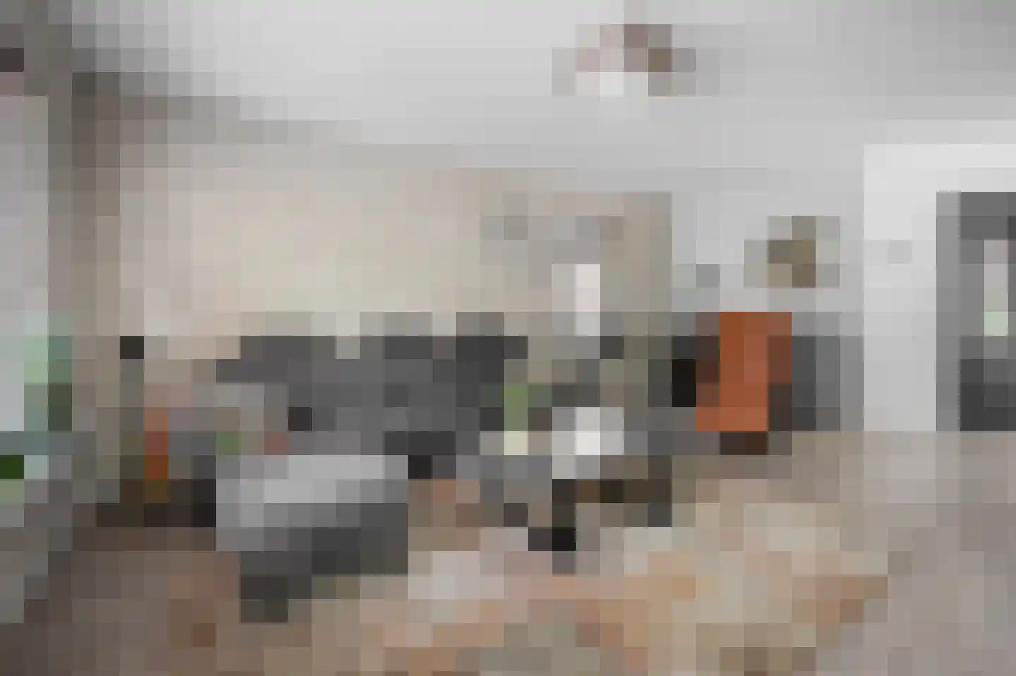 Castor 10 Klazienaveen thumbnail 9