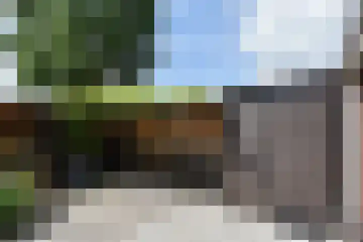 Castor 16 Berkel en Rodenrijs thumbnail 13