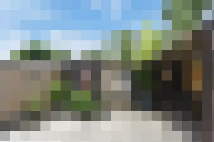 Castor 16 Berkel en Rodenrijs thumbnail 14