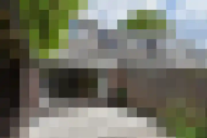 Castor 16 Berkel en Rodenrijs thumbnail 15