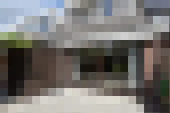 Castor 16 Berkel en Rodenrijs thumbnail 16