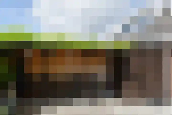 Castor 16 Berkel en Rodenrijs thumbnail 17