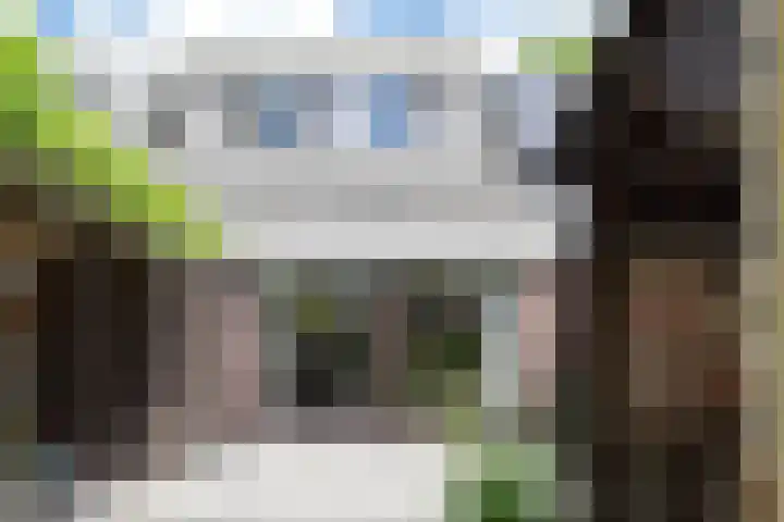 Castor 16 Berkel en Rodenrijs thumbnail 19