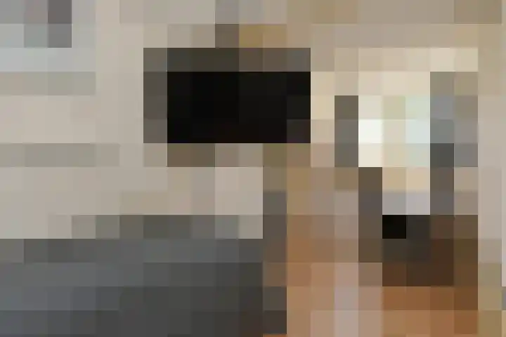 Castor 16 Berkel en Rodenrijs thumbnail 33