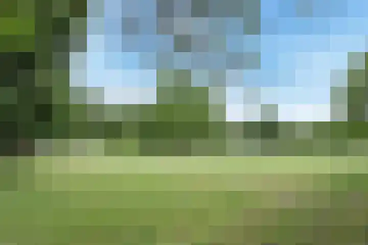 Castor 16 Berkel en Rodenrijs thumbnail 38